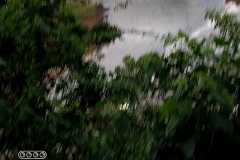 WhatsApp-Image-2023-02-24-at-1.18.49-PM