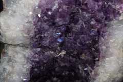 WhatsApp-Image-2023-07-18-at-10.33.38-AM